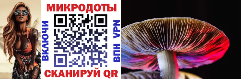 продажа наркотиков  Кукмор  Галлюциногенные грибы мицелий 